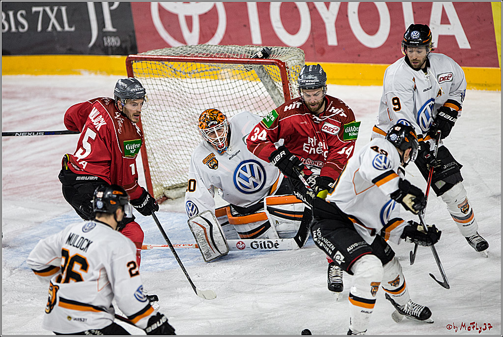 DEL, Koelner Haie - Grizzlys Wolfsburg, 17.03.2017